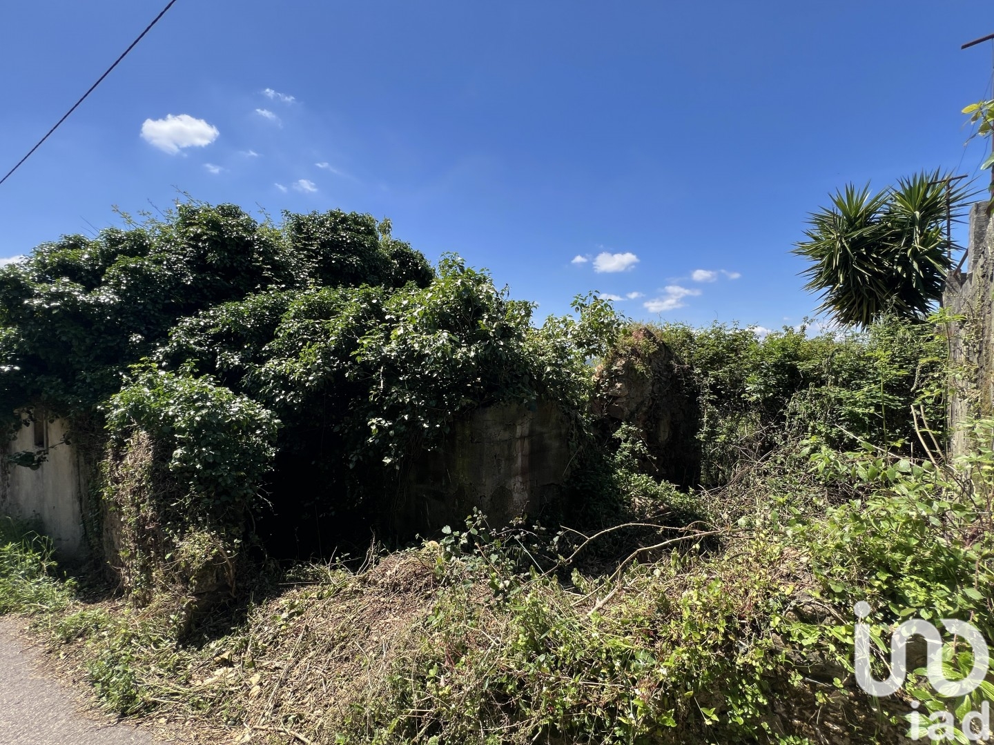 Moradia T0 à venda em São Miguel, Santa Eufémia e Rabaçal, Penela — foto 21