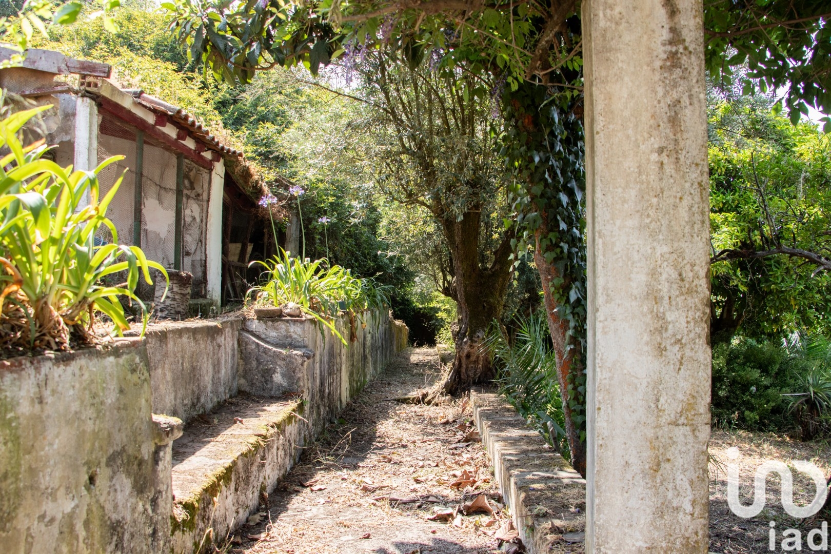 Moradia T5 à venda em Abrantes (São Vicente e São João) e Alferrarede, Abrantes — foto 22