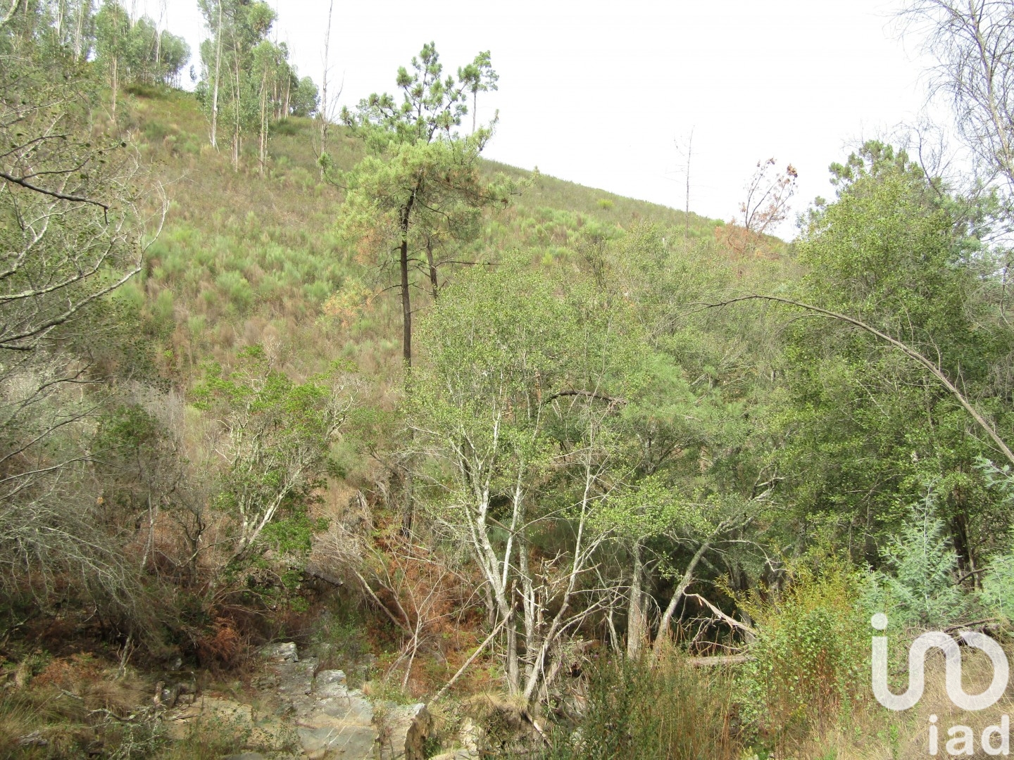 Moradia T0 à venda em Santiago de Montalegre, Sardoal — foto 14