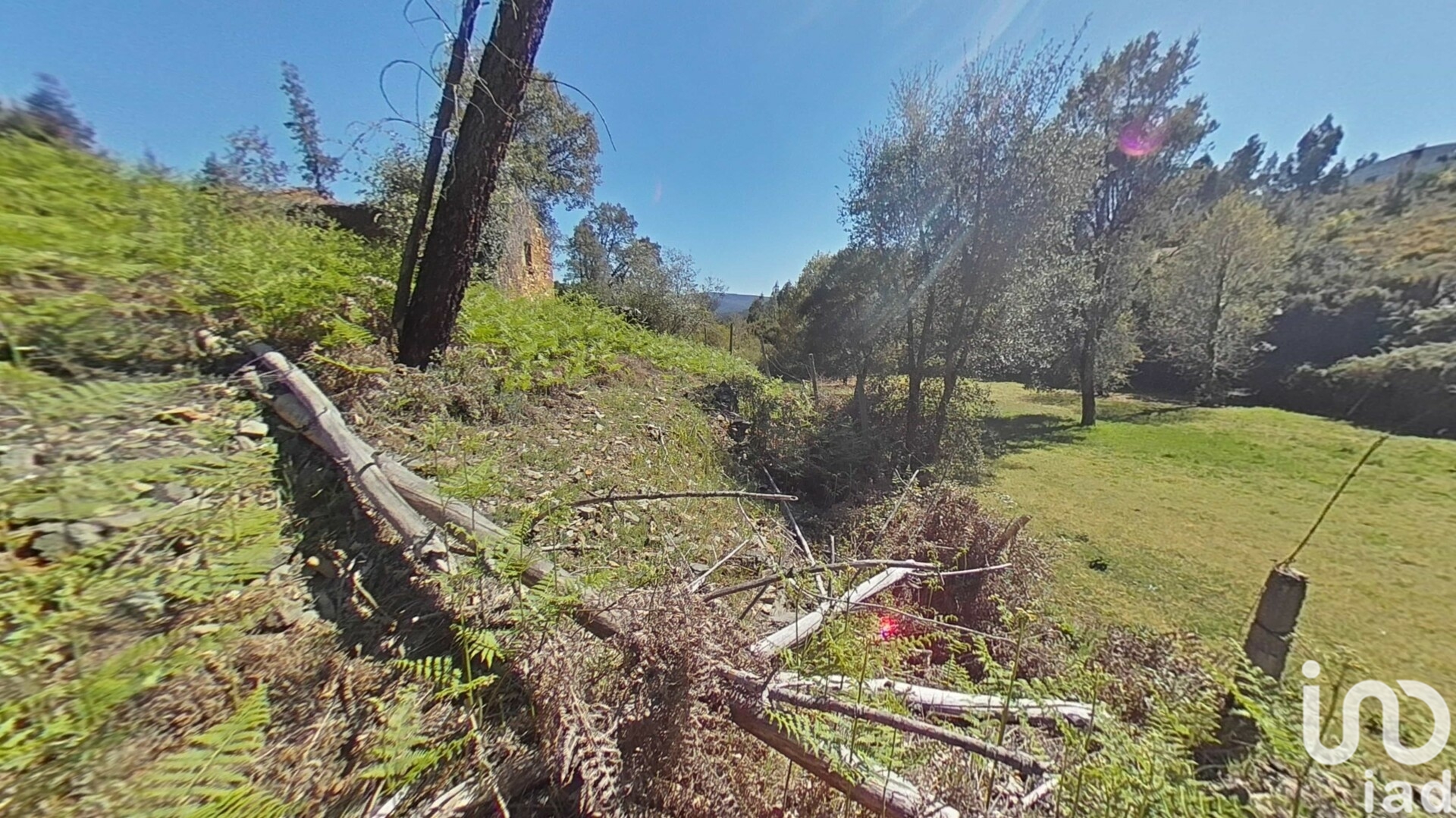 Moradia T0 à venda em Alvares, Góis — foto 22