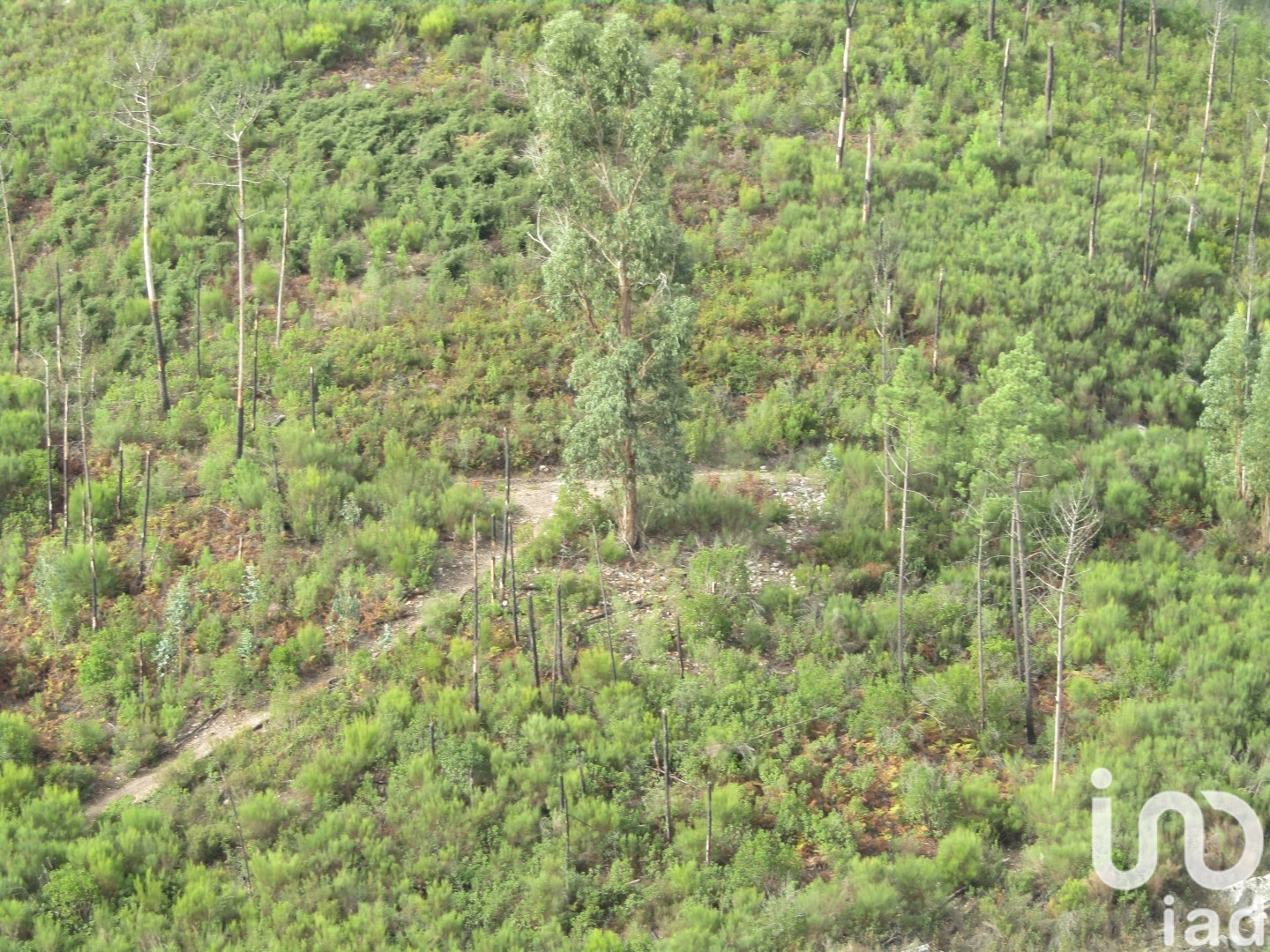 Moradia T0 à venda em Santiago de Montalegre, Sardoal — foto 27