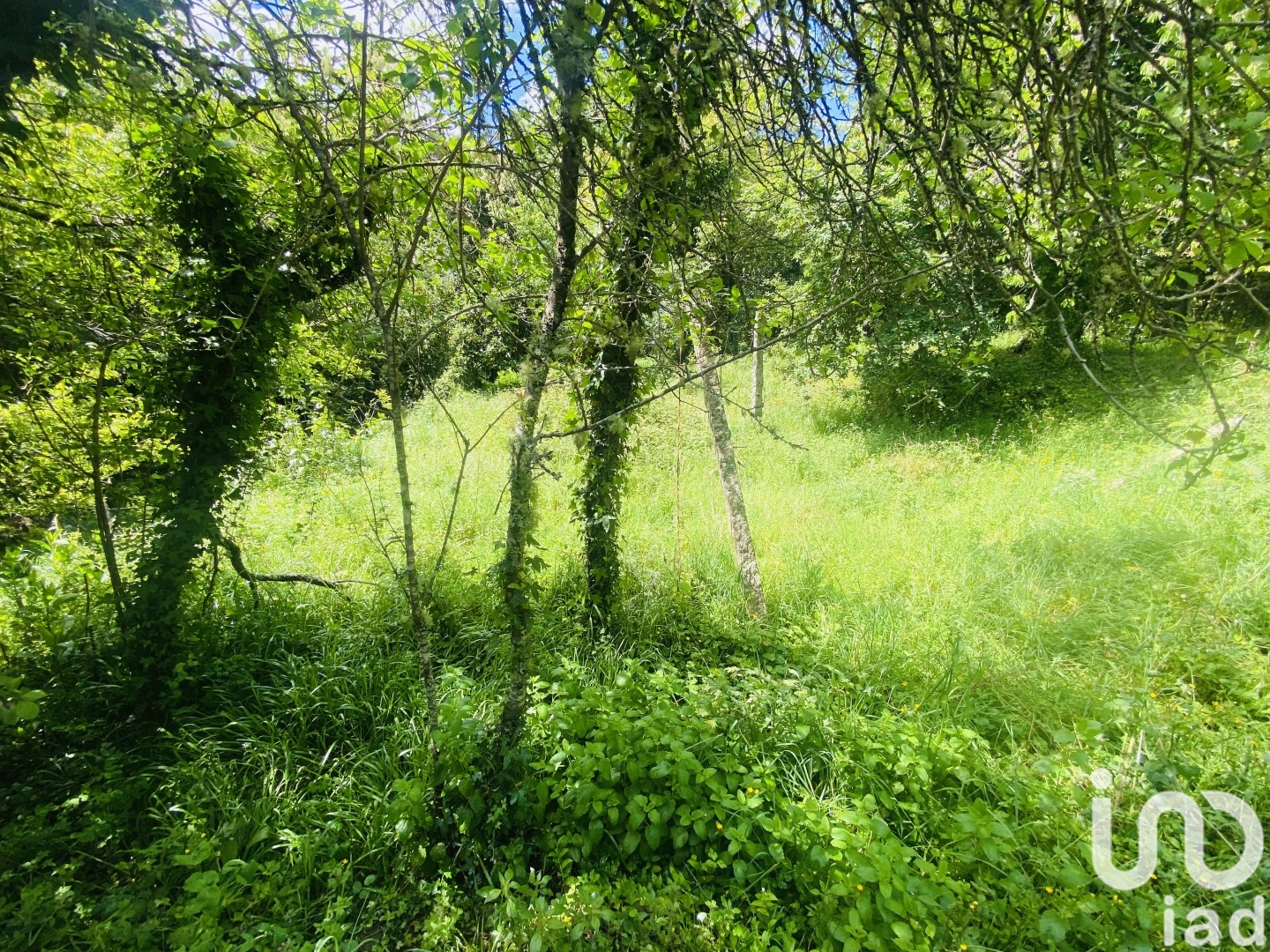 Moradia T6+ à venda em Candemil e Gondar, Vila Nova de Cerveira — foto 21