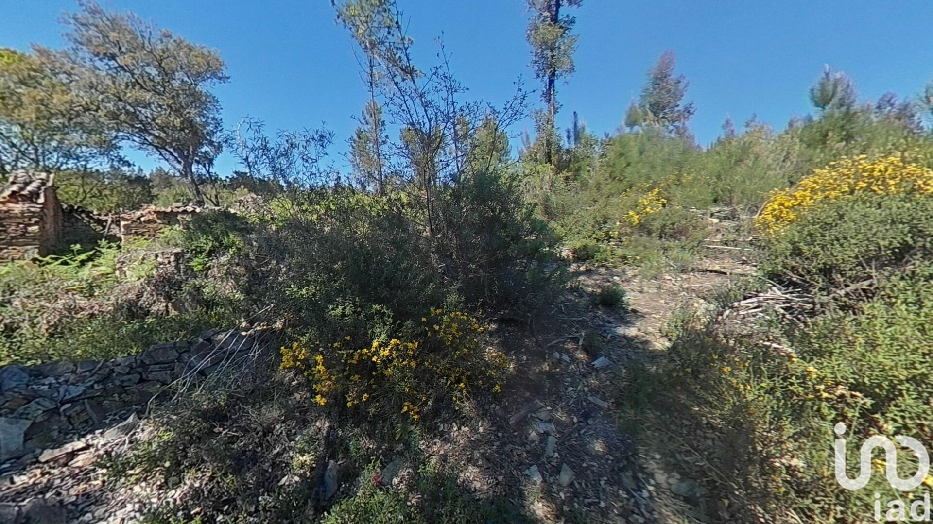 Moradia T0 à venda em Alvares, Góis — foto 16