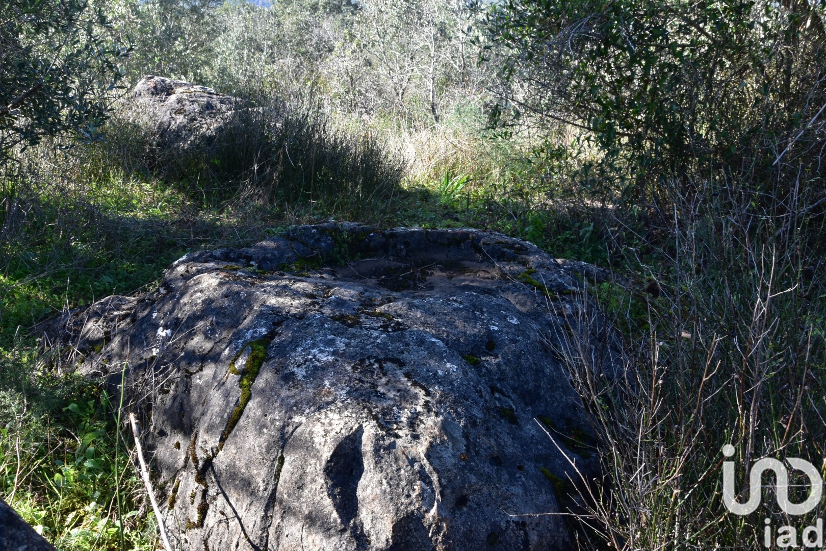 Moradia T0 à venda em Freixianda, Ribeira do Fárrio e Formigais, Ourém — foto 17