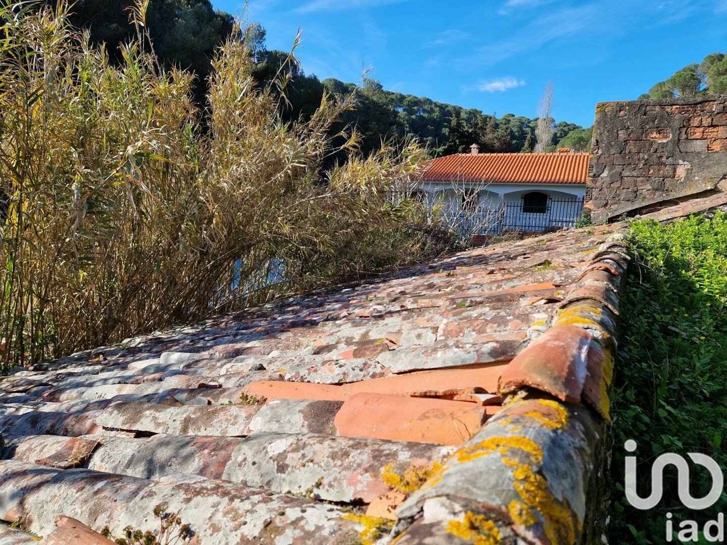 Moradia T0 à venda em Porto de Mós - São João Baptista e São Pedro, Porto de Mós — foto 18