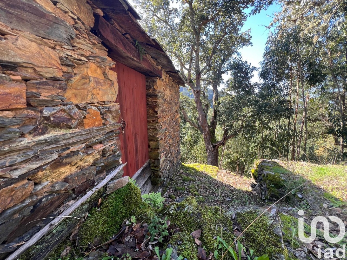 Moradia T0 à venda em Celavisa, Arganil — foto 2