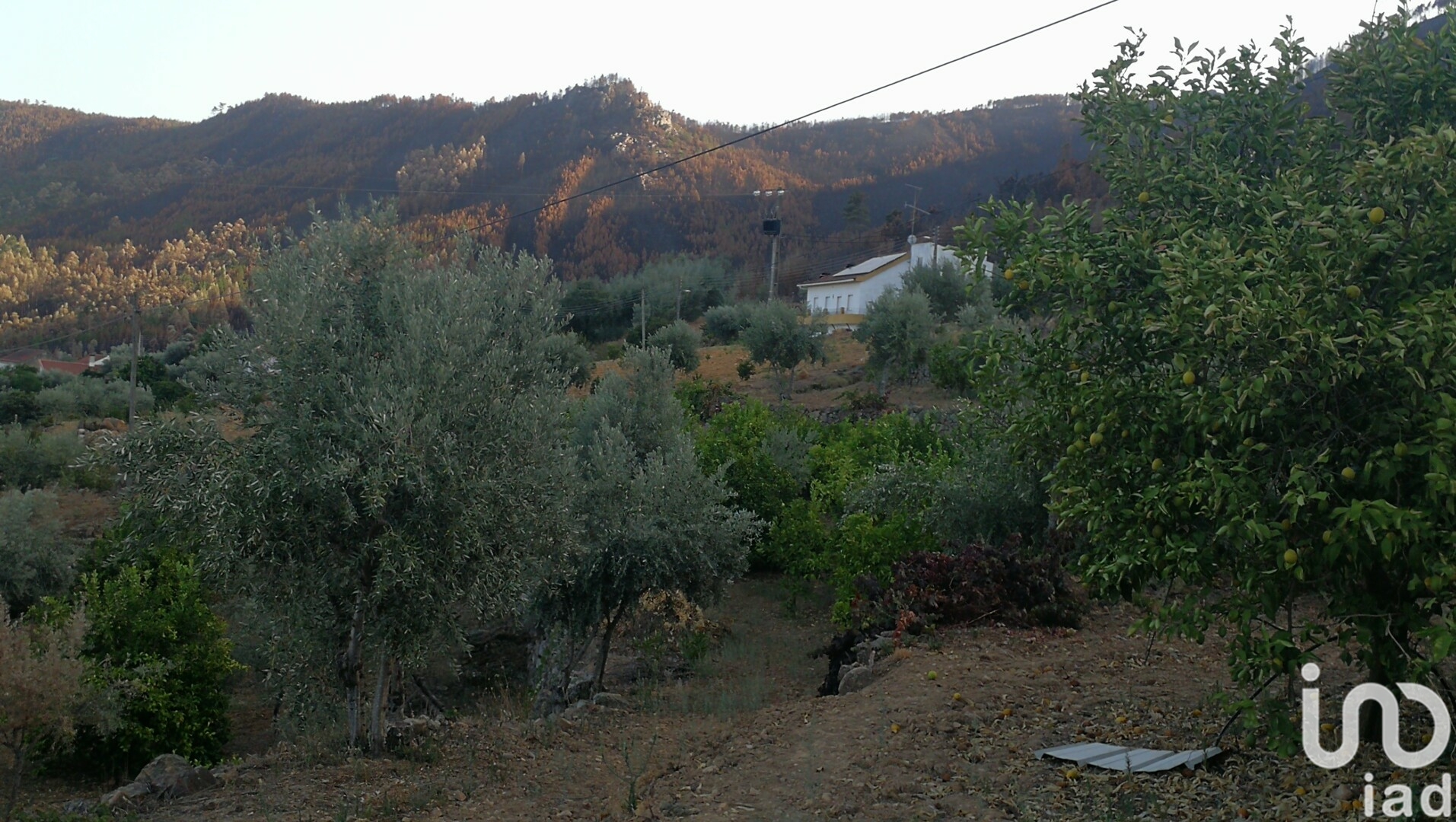Moradia T4 à venda em Montes da Senhora, Proença-a-Nova — foto 22