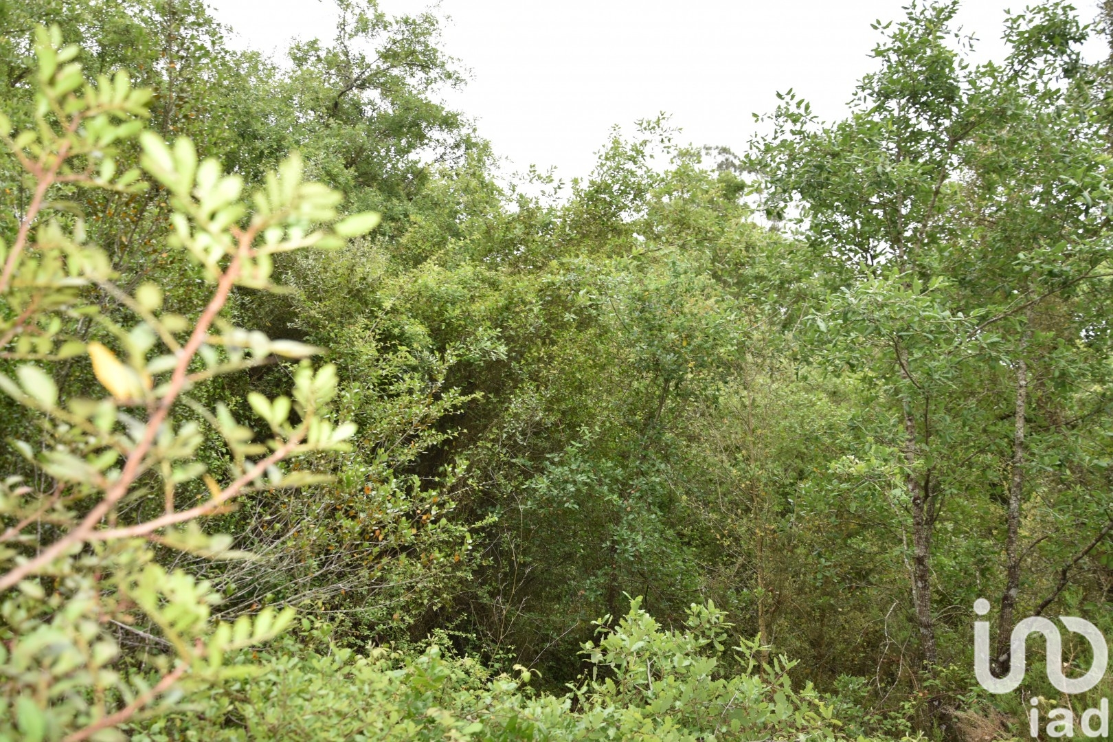 Moradia T0 à venda em Chãos, Ferreira do Zêzere — foto 14