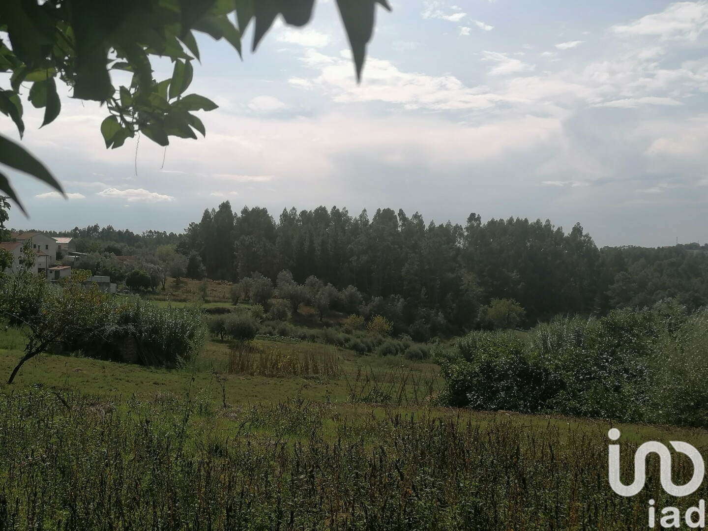 Moradia T0 à venda em Lamas, Miranda do Corvo — foto 20