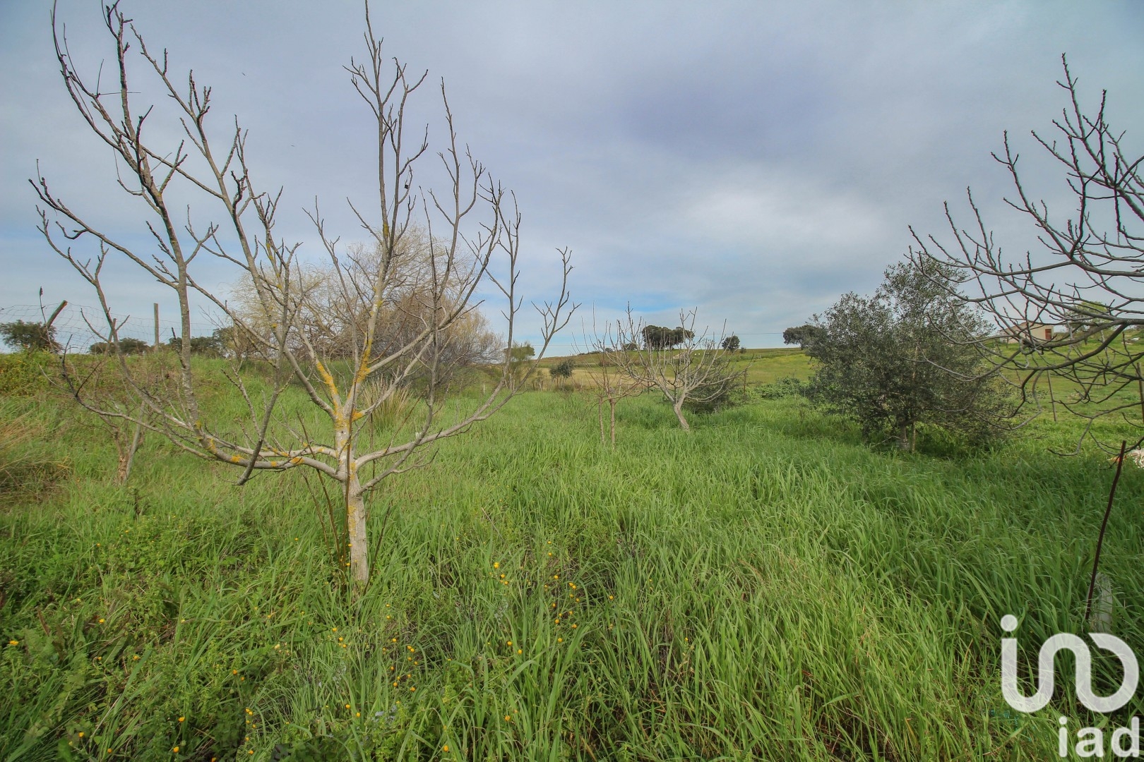 Moradia T2 à venda em Assunção, Arronches — foto 10