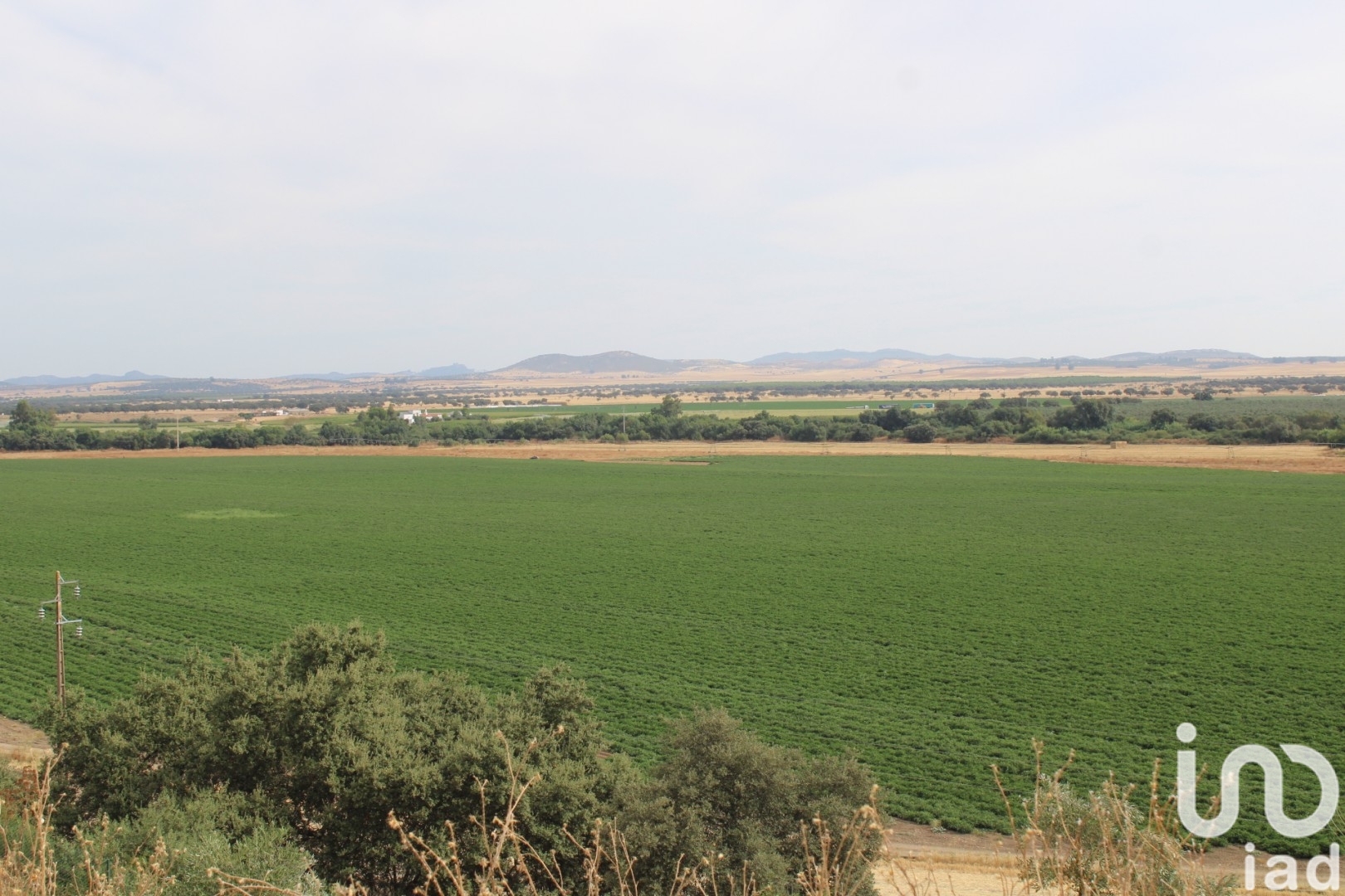 Moradia T6+ à venda em São João Baptista, Campo Maior — foto 7