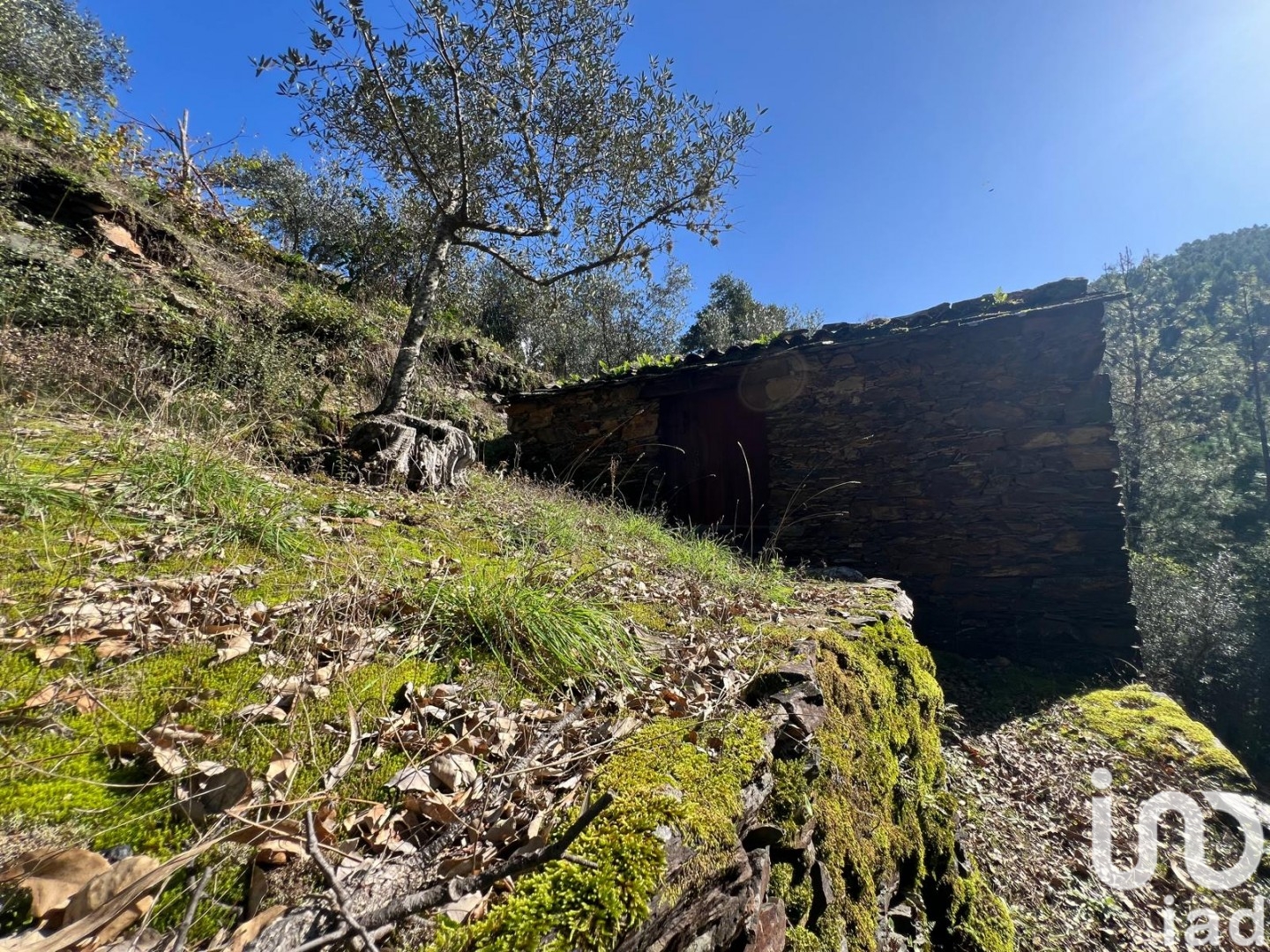 Moradia T0 à venda em Celavisa, Arganil — foto 13