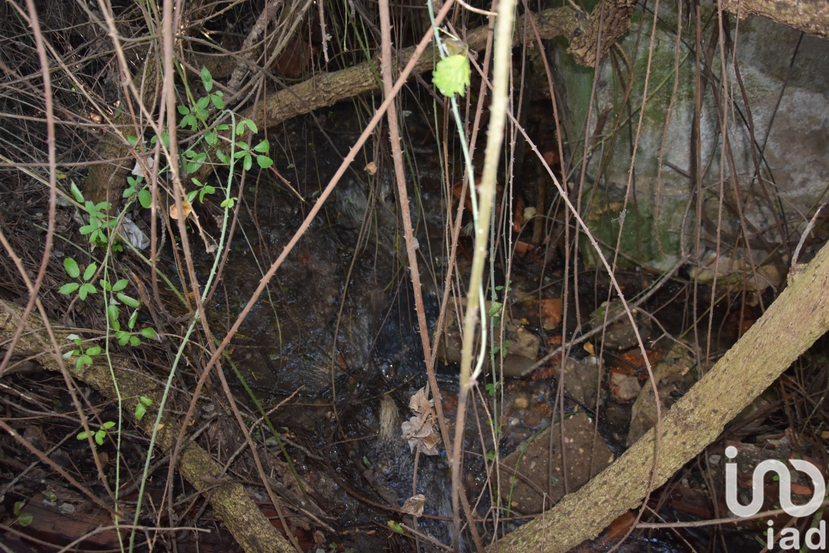 Moradia T2 à venda em Caxarias, Ourém — foto 16