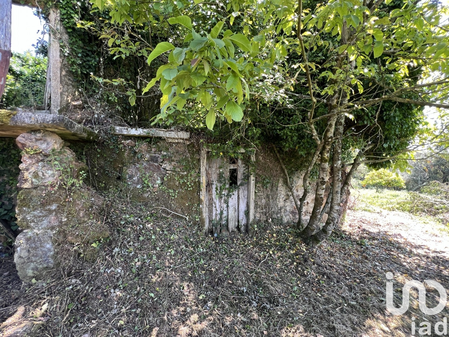 Moradia T0 à venda em São Miguel, Santa Eufémia e Rabaçal, Penela — foto 2