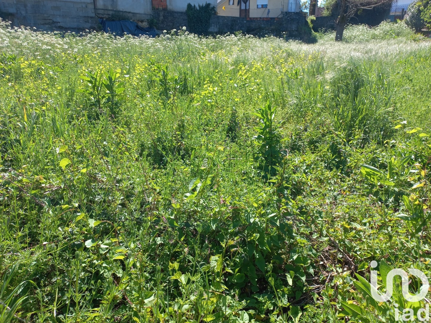Moradia T0 à venda em Arcozelo, Barcelos — foto 3