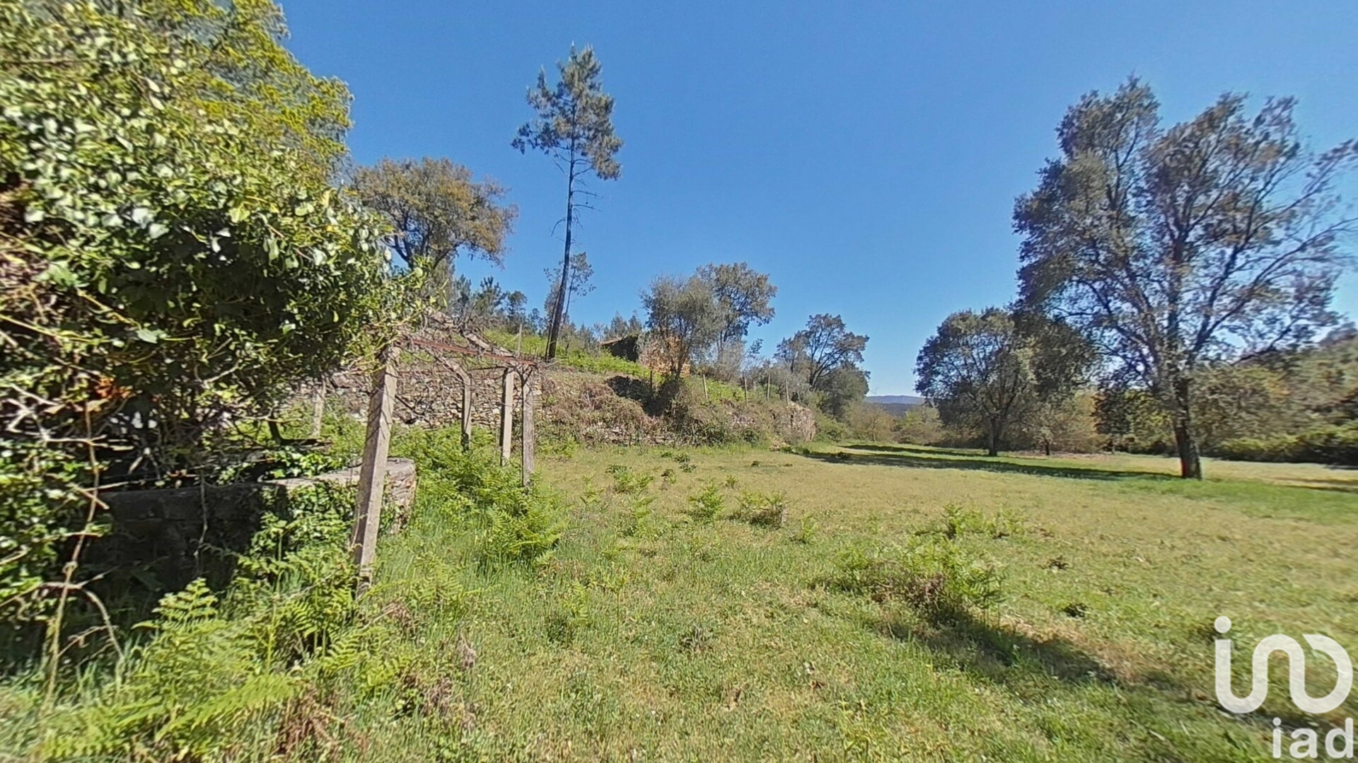 Moradia T0 à venda em Alvares, Góis — foto 17