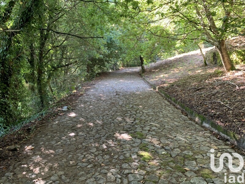 Moradia T6+ à venda em Covas, Vila Nova de Cerveira — foto 14