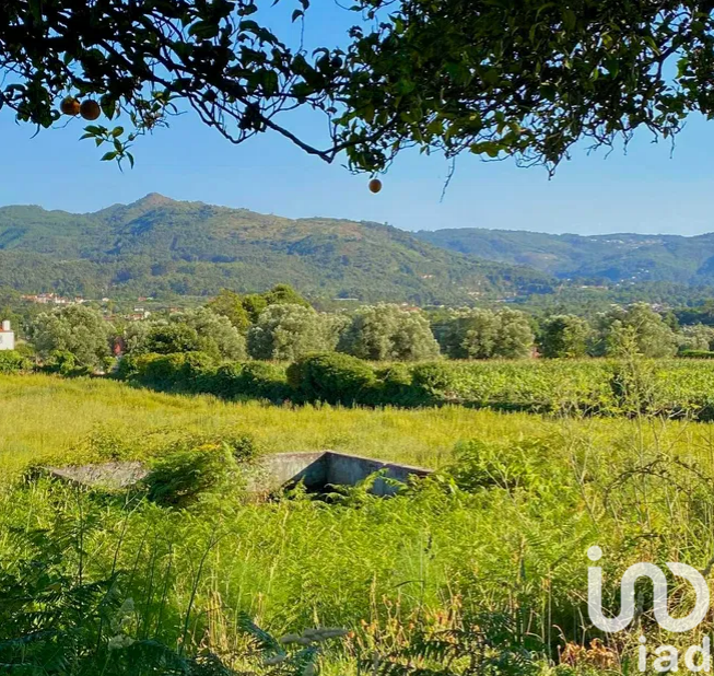 Moradia T6+ à venda em Fontão, Ponte de Lima — foto 22