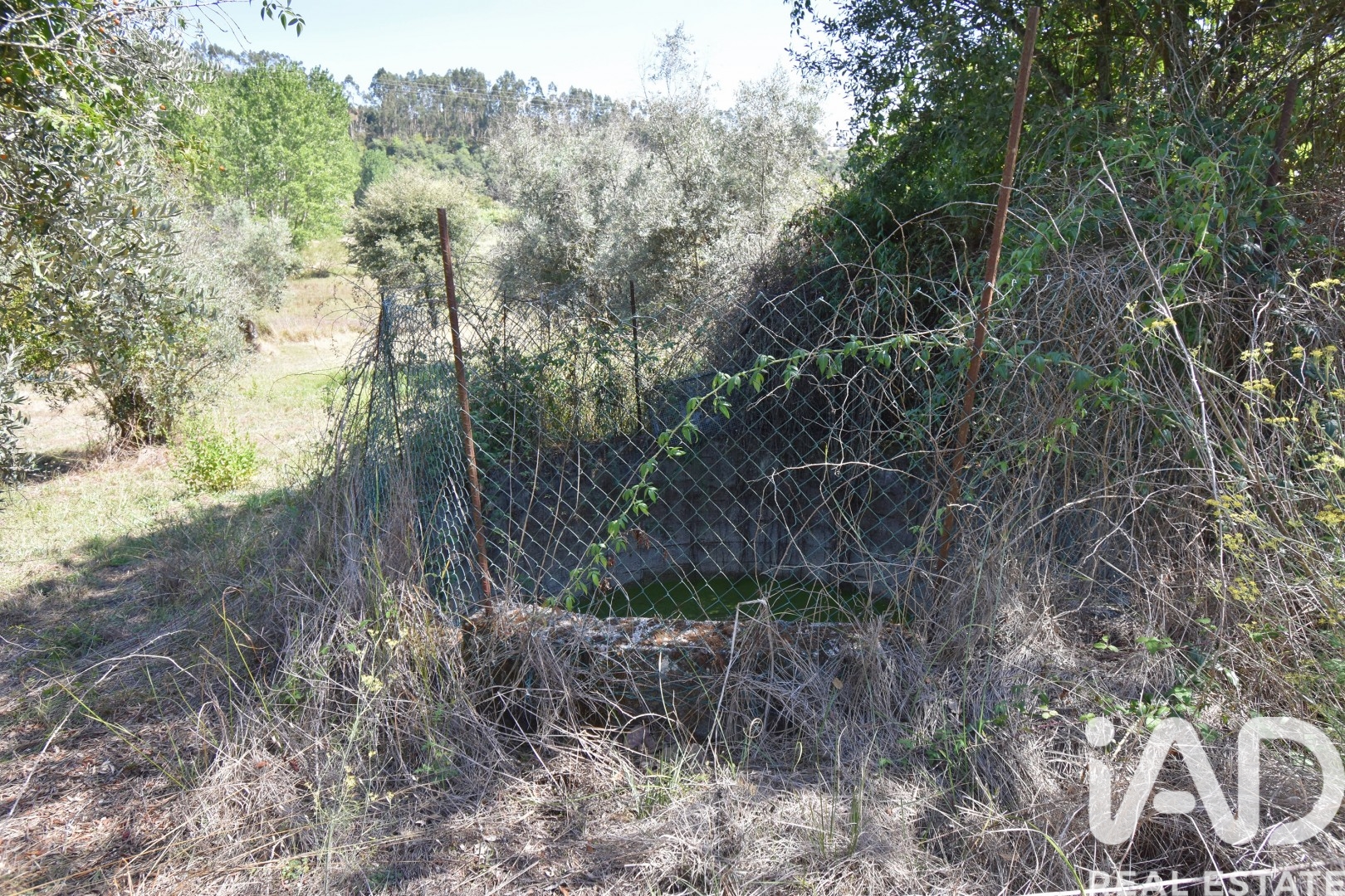 Moradia T3 à venda em São Miguel, Santa Eufémia e Rabaçal, Penela — foto 25