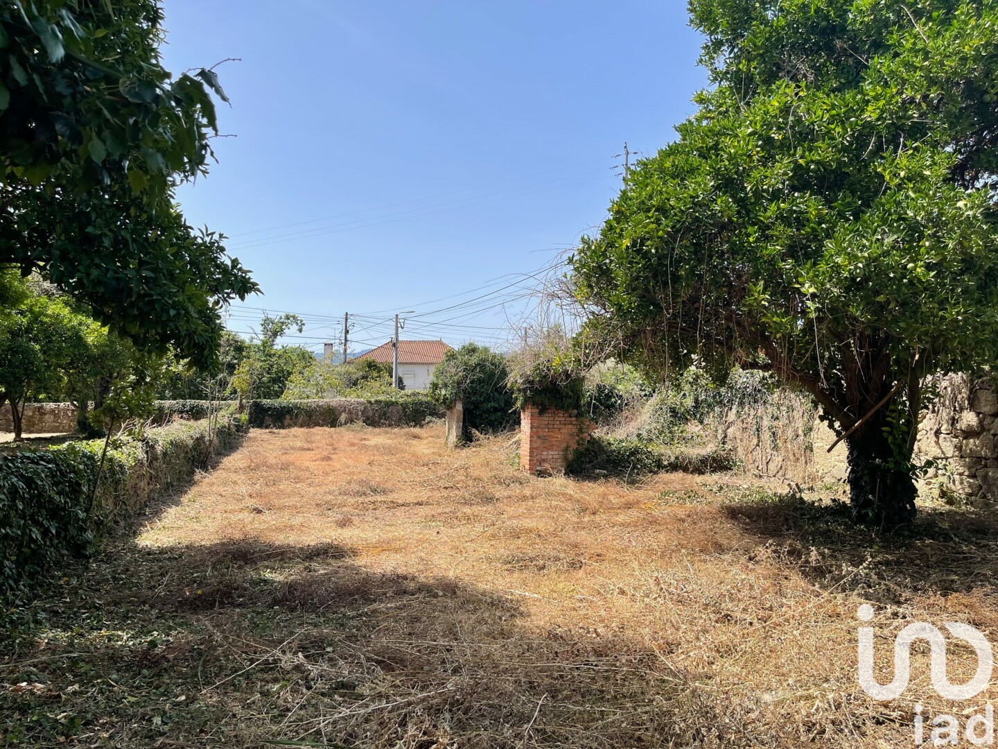 Moradia T6+ à venda em Canas de Santa Maria, Tondela — foto 13