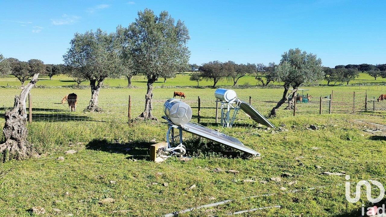 Moradia T6+ à venda em Terrugem E Vila Boim, Elvas — foto 20