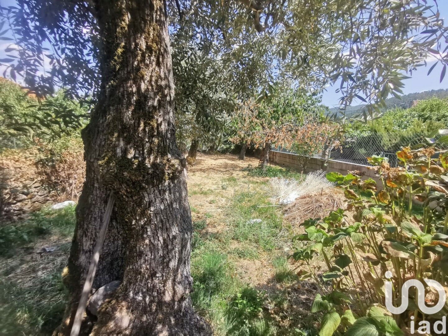 Moradia T6+ à venda em Fundão, Valverde, donas, Aldeia de Joanes e Aldeia Nova do Cabo, Fundão — foto 9