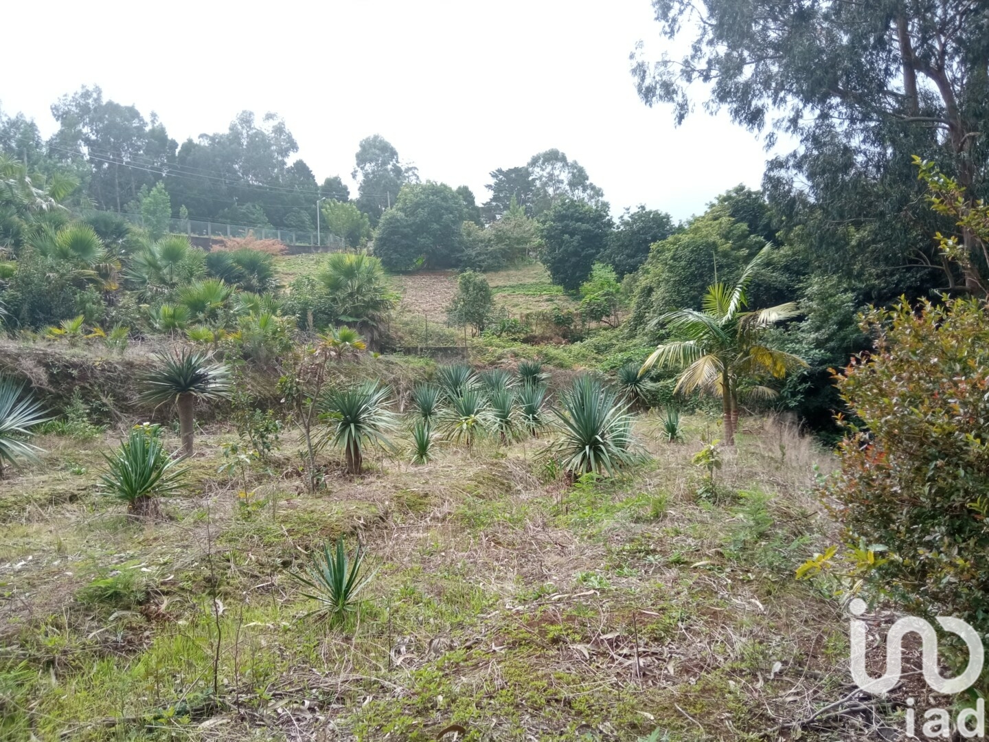 Moradia T3 à venda em São Jorge, Santana — foto 18