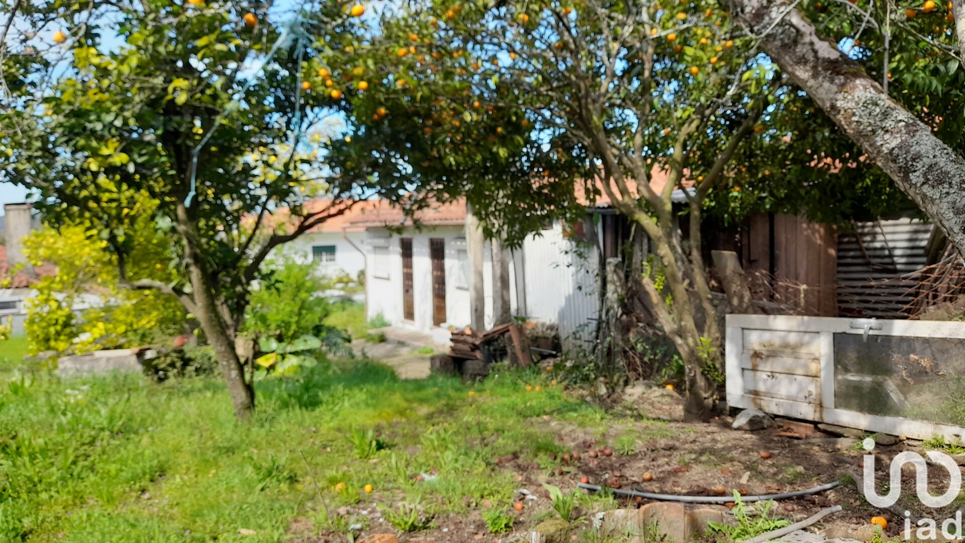 Moradia T3 à venda em Alheira e Igreja Nova, Barcelos — foto 4