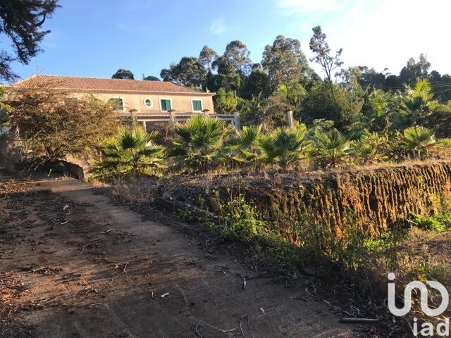 Moradia T3 à venda em São Jorge, Santana — foto 2