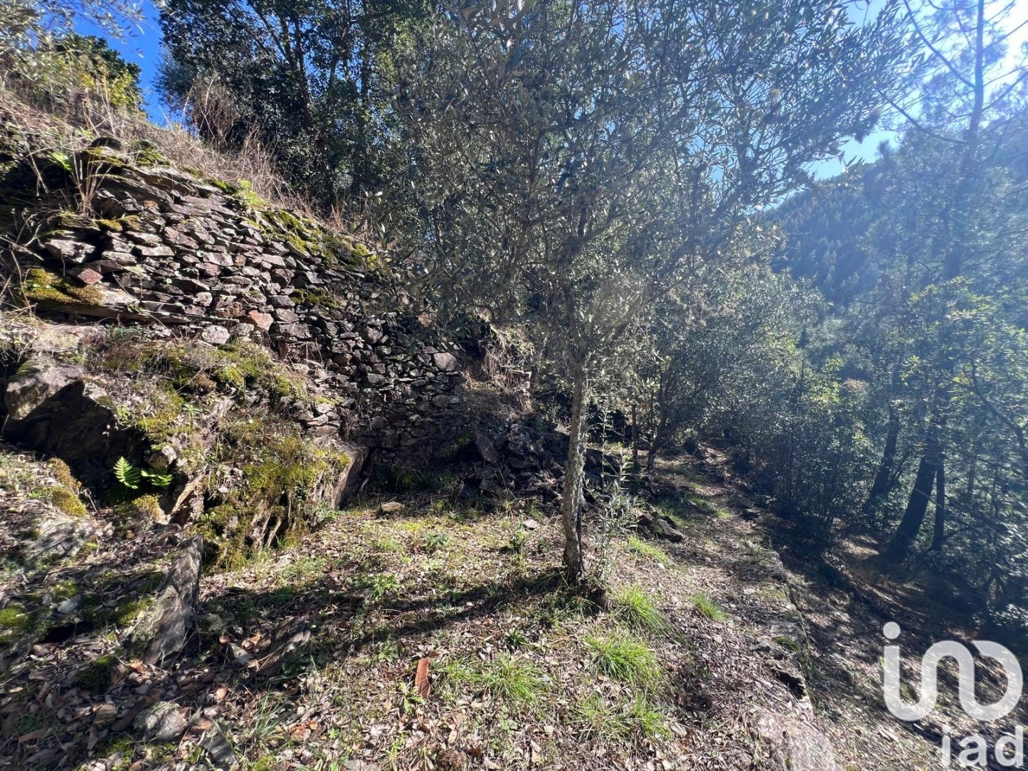 Moradia T0 à venda em Celavisa, Arganil — foto 11