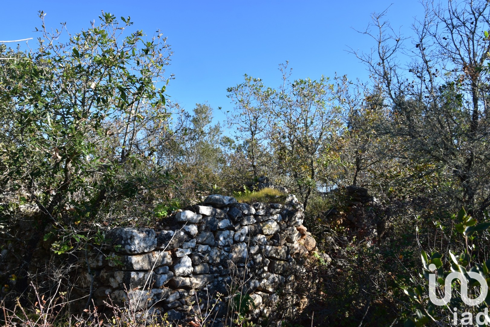 Moradia T0 à venda em Freixianda, Ribeira do Fárrio e Formigais, Ourém — foto 12