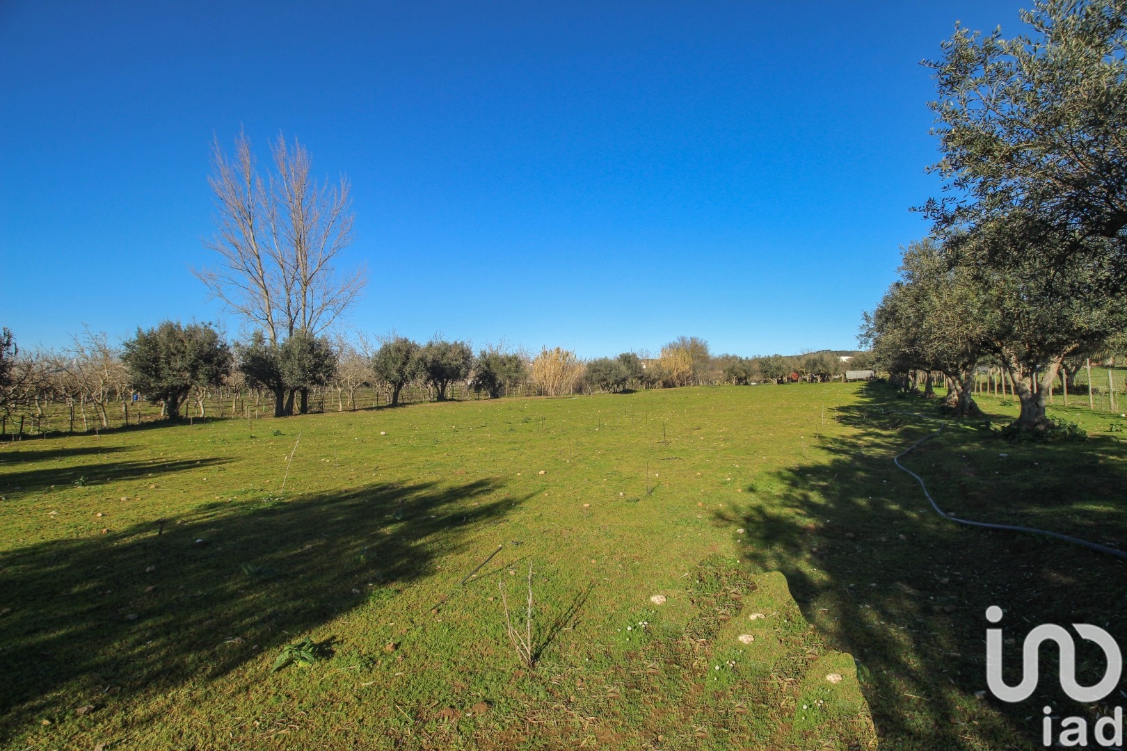 Moradia T0 à venda em Ameixial (Santa Vitória e São Bento), Estremoz — foto 19