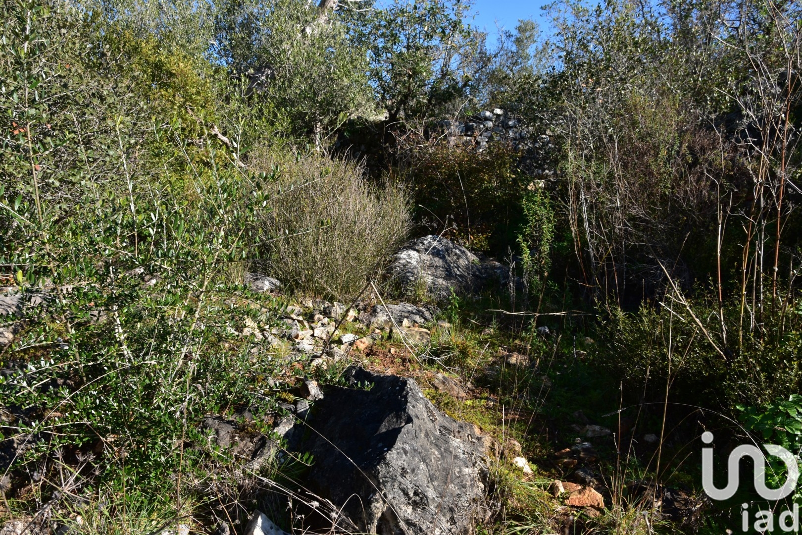 Moradia T0 à venda em Freixianda, Ribeira do Fárrio e Formigais, Ourém — foto 14