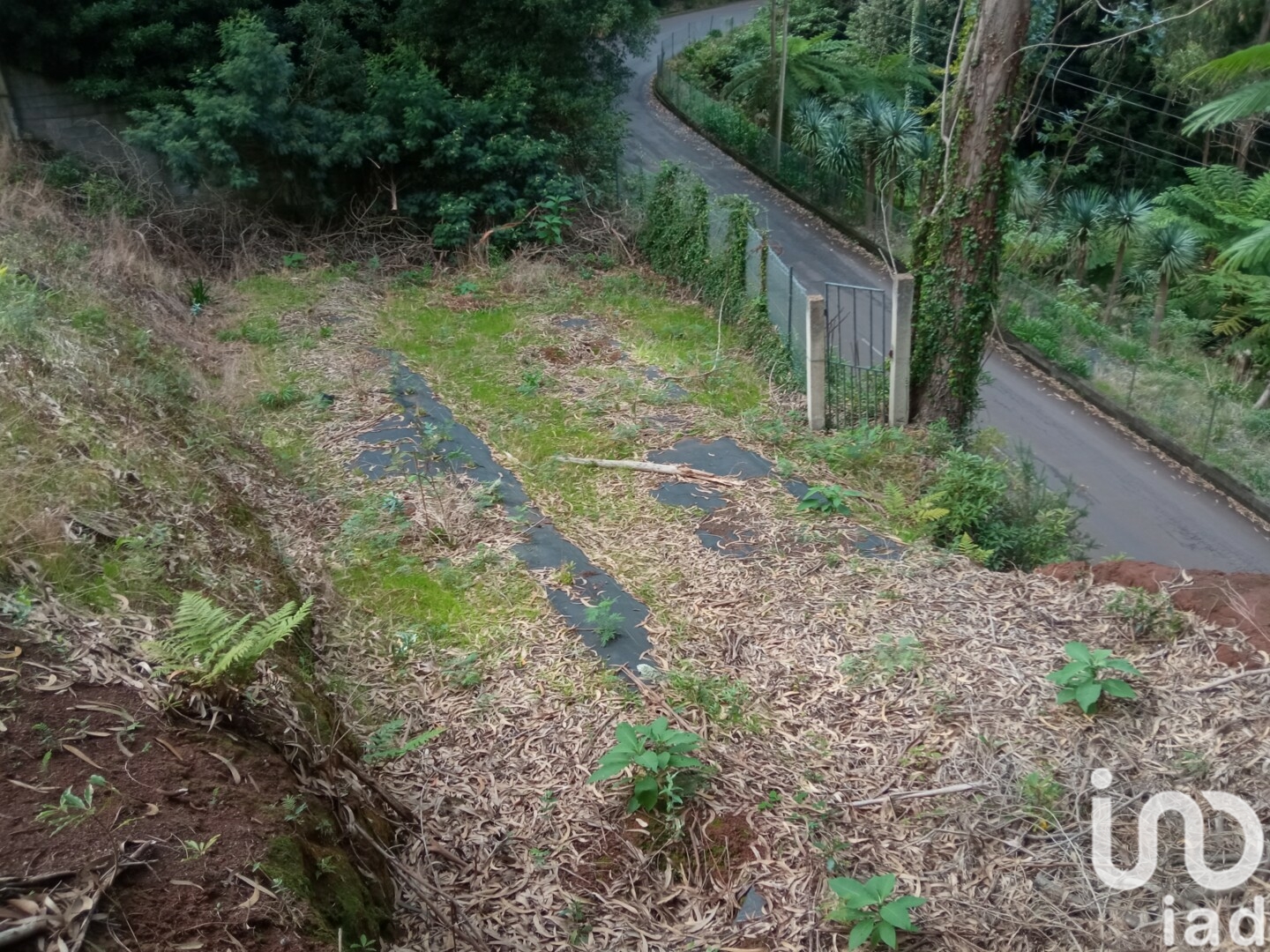 Moradia T3 à venda em São Jorge, Santana — foto 16