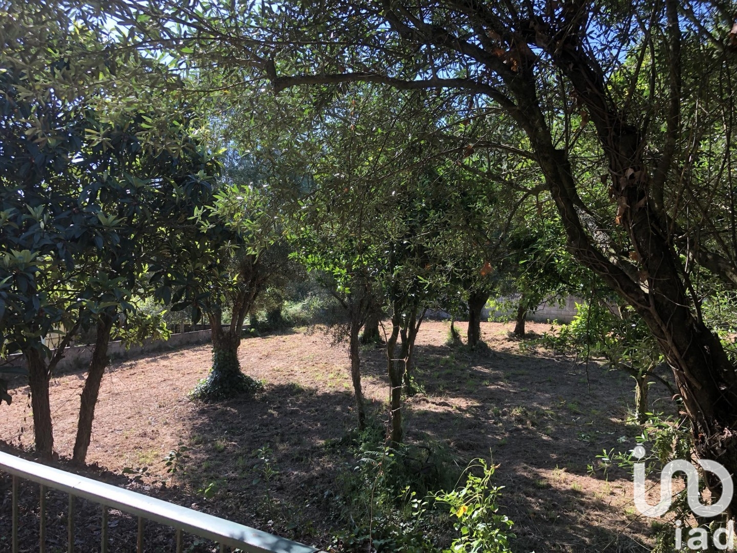 Moradia T3 à venda em Correlhã, Ponte de Lima — foto 12