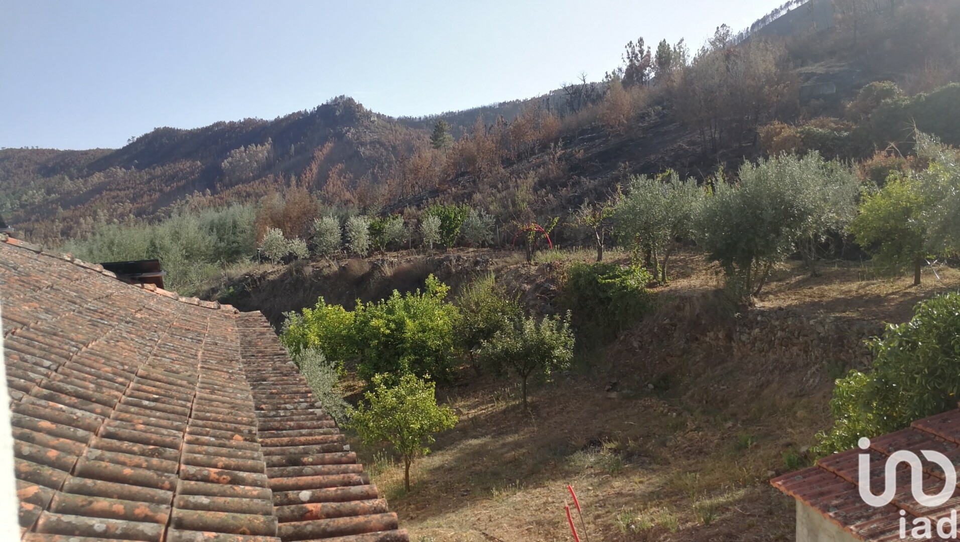 Moradia T4 à venda em Montes da Senhora, Proença-a-Nova — foto 23