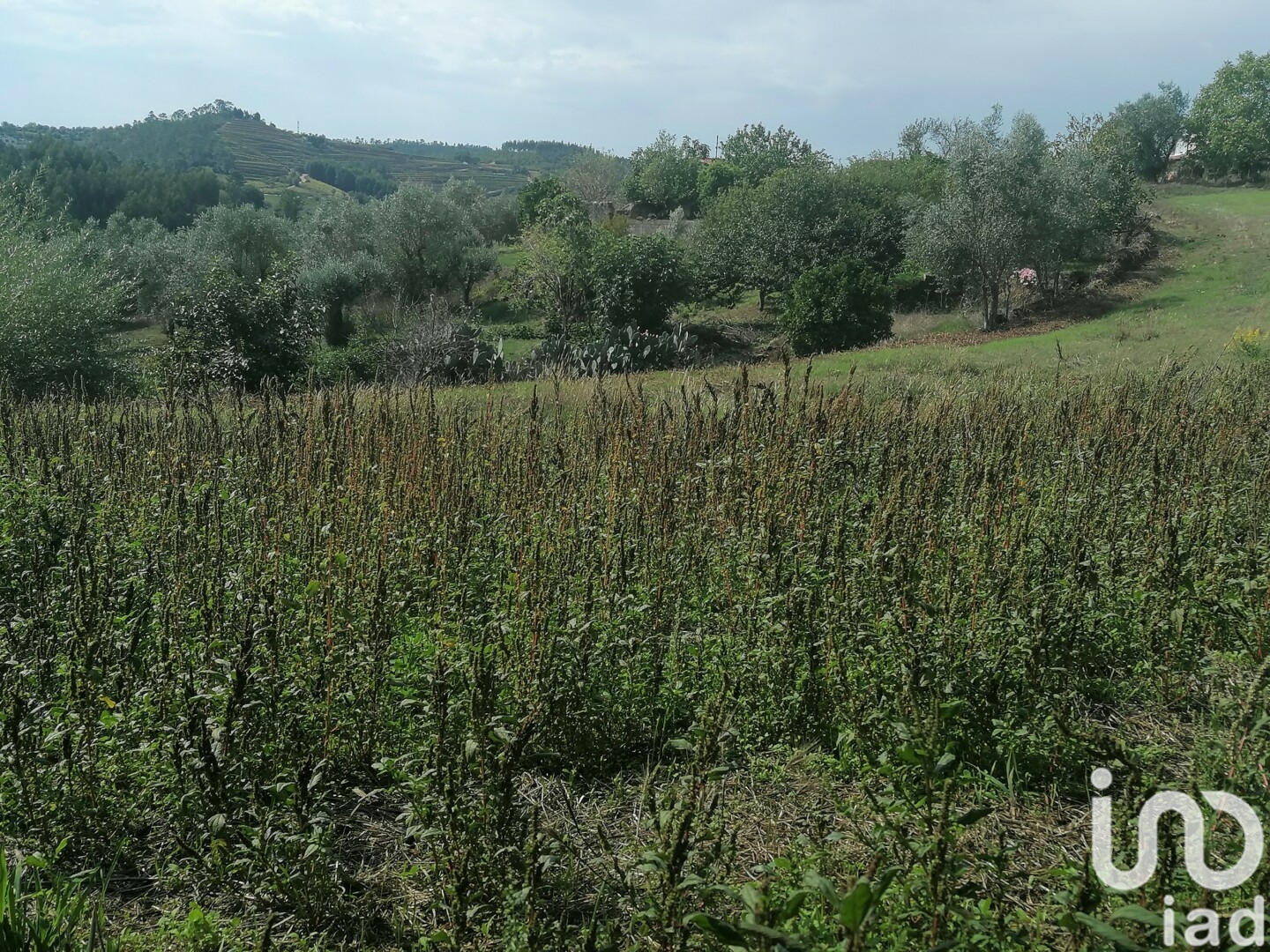 Moradia T0 à venda em Lamas, Miranda do Corvo — foto 21