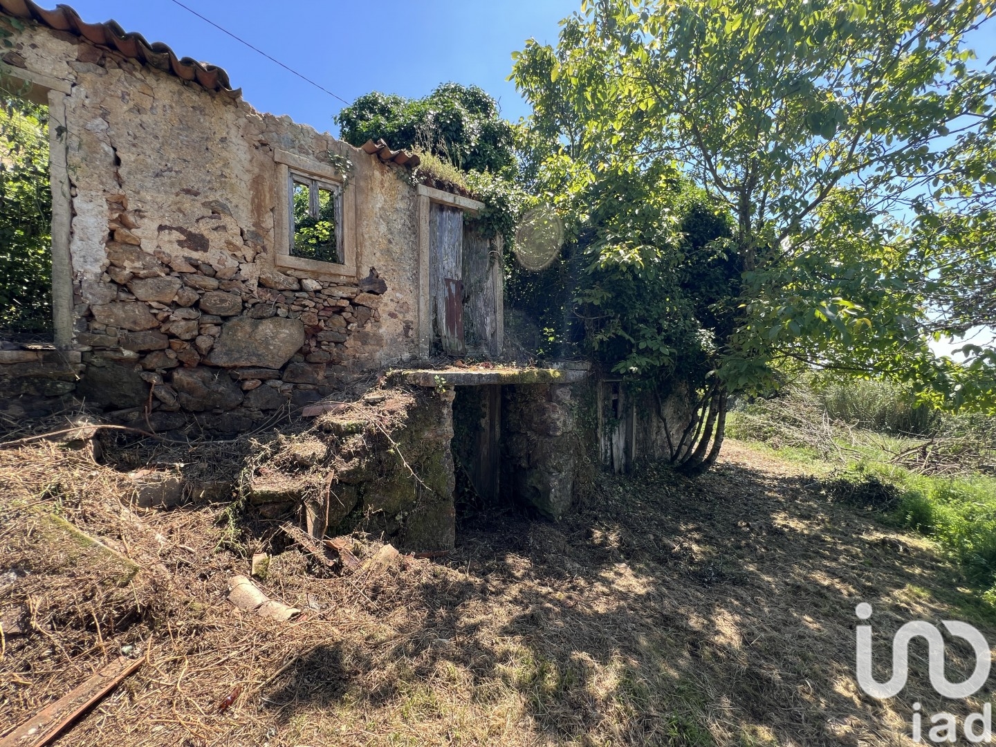 Moradia T0 à venda em São Miguel, Santa Eufémia e Rabaçal, Penela — foto 13