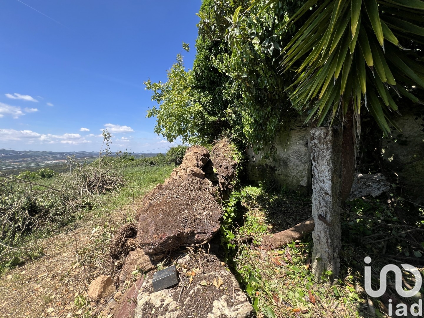 Moradia T0 à venda em São Miguel, Santa Eufémia e Rabaçal, Penela — foto 7