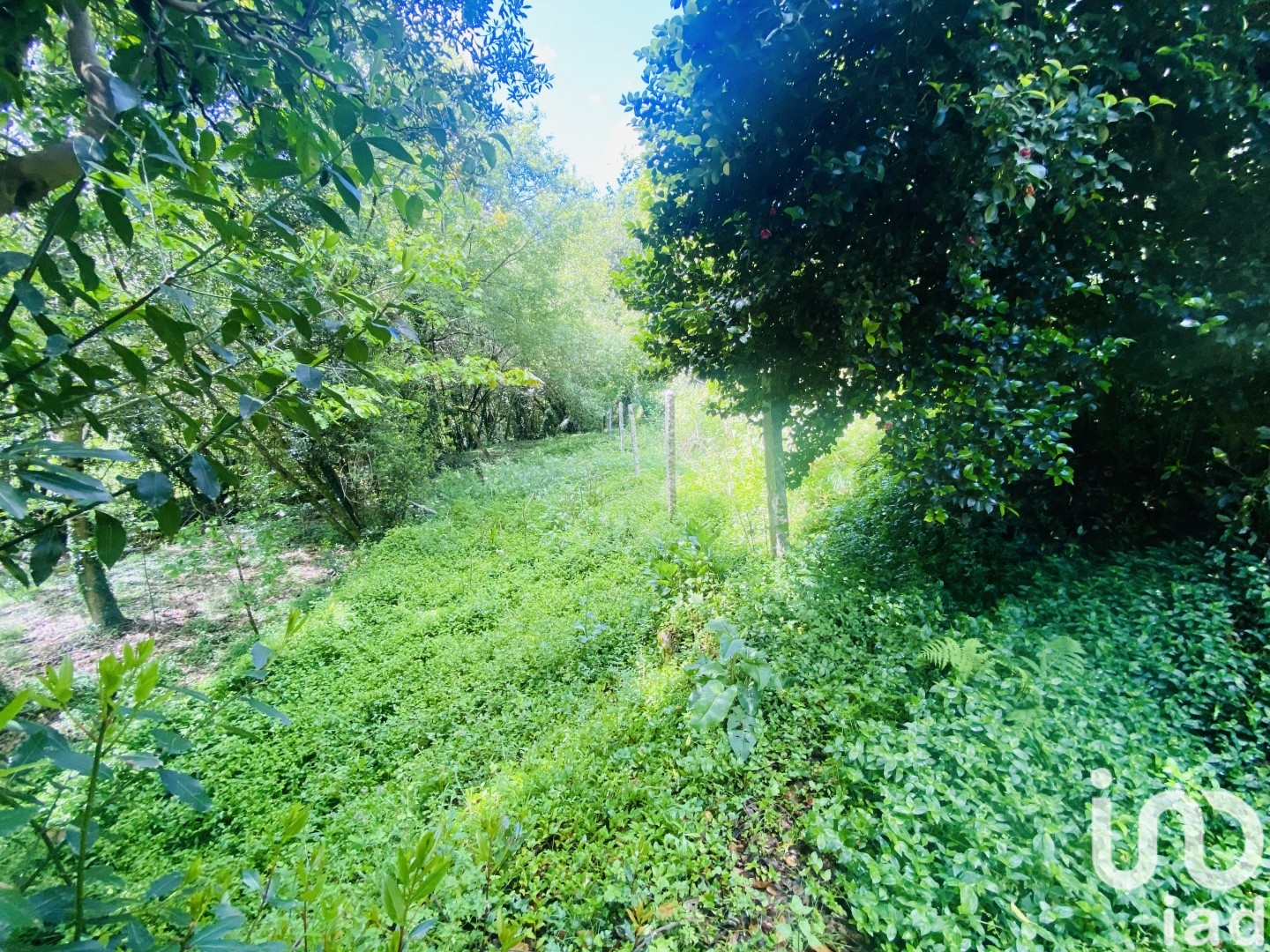 Moradia T6+ à venda em Candemil e Gondar, Vila Nova de Cerveira — foto 20