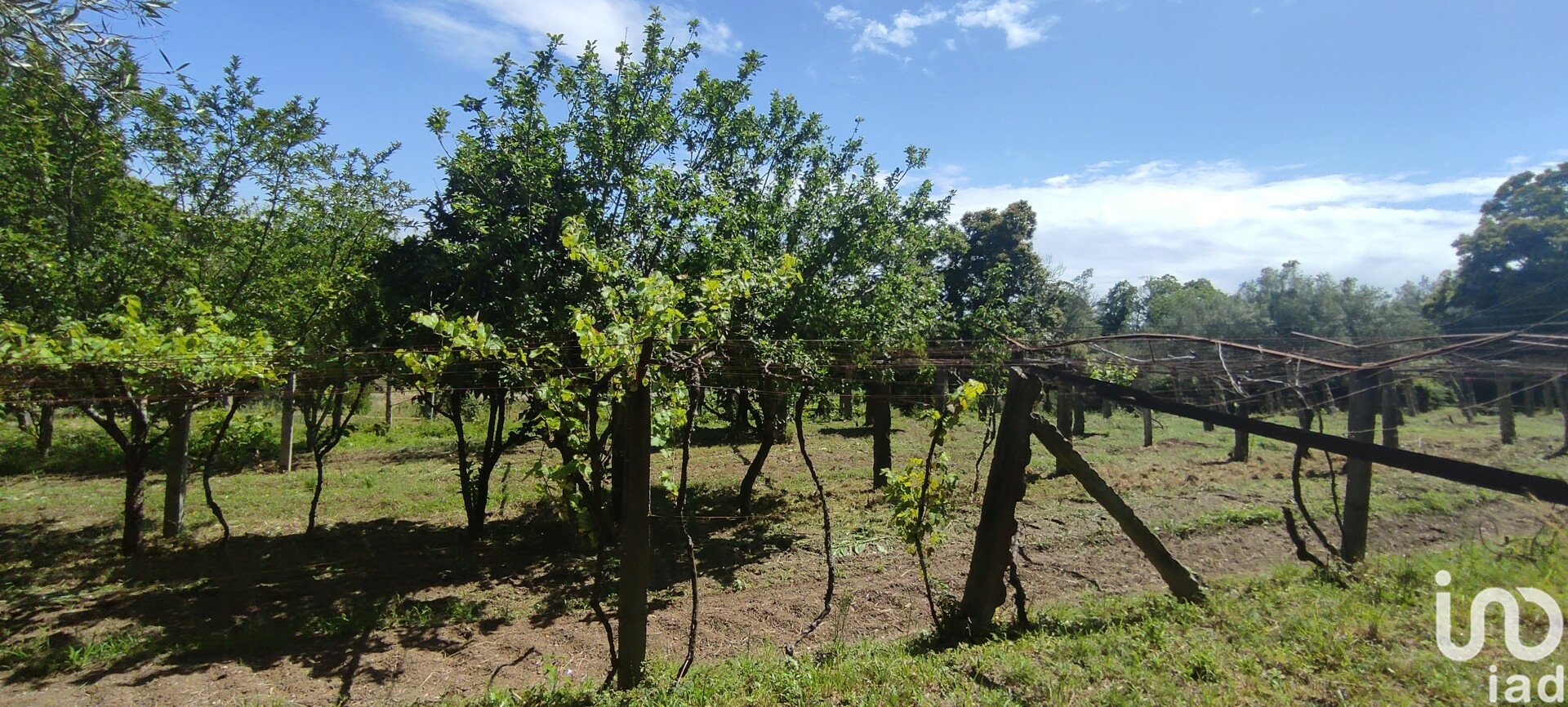 Moradia T2 à venda em Cardielos e Serreleis, Viana do Castelo — foto 8