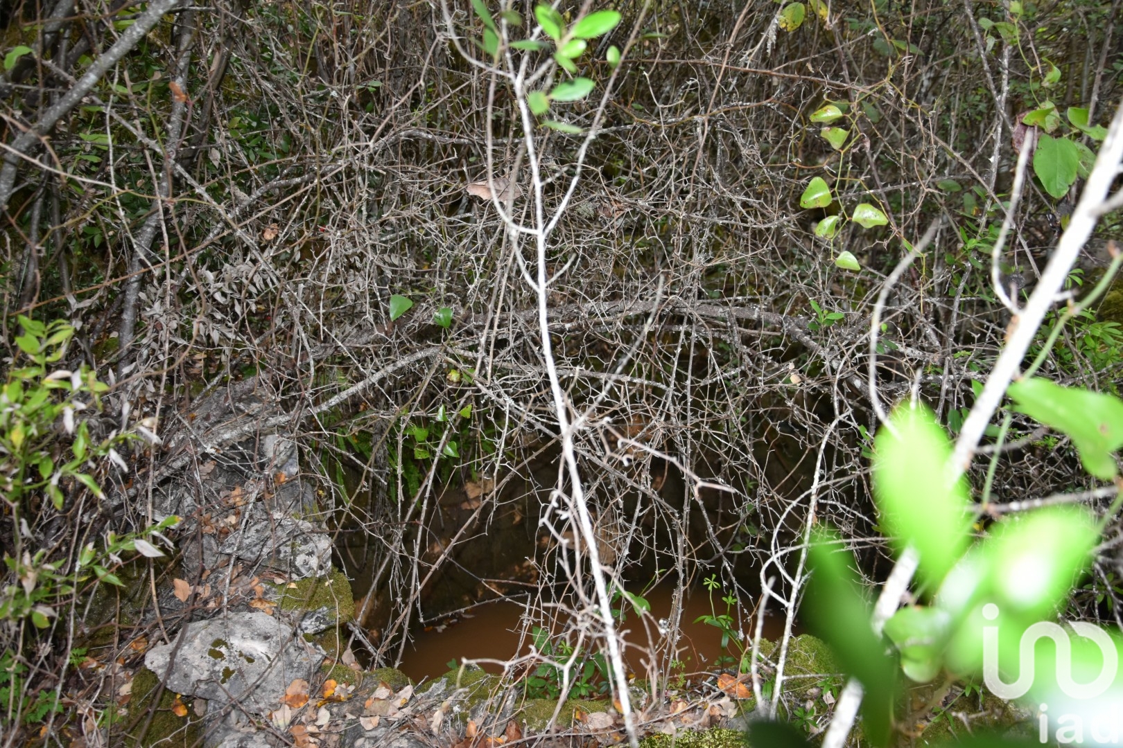 Moradia T0 à venda em Chãos, Ferreira do Zêzere — foto 15
