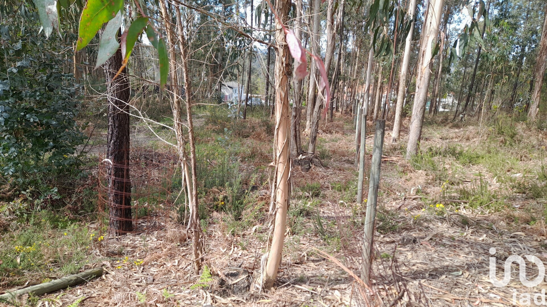 Moradia T3 à venda em Alheira e Igreja Nova, Barcelos — foto 21