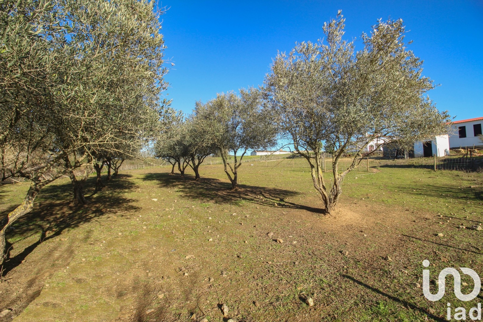 Moradia T0 à venda em Ameixial (Santa Vitória e São Bento), Estremoz — foto 29