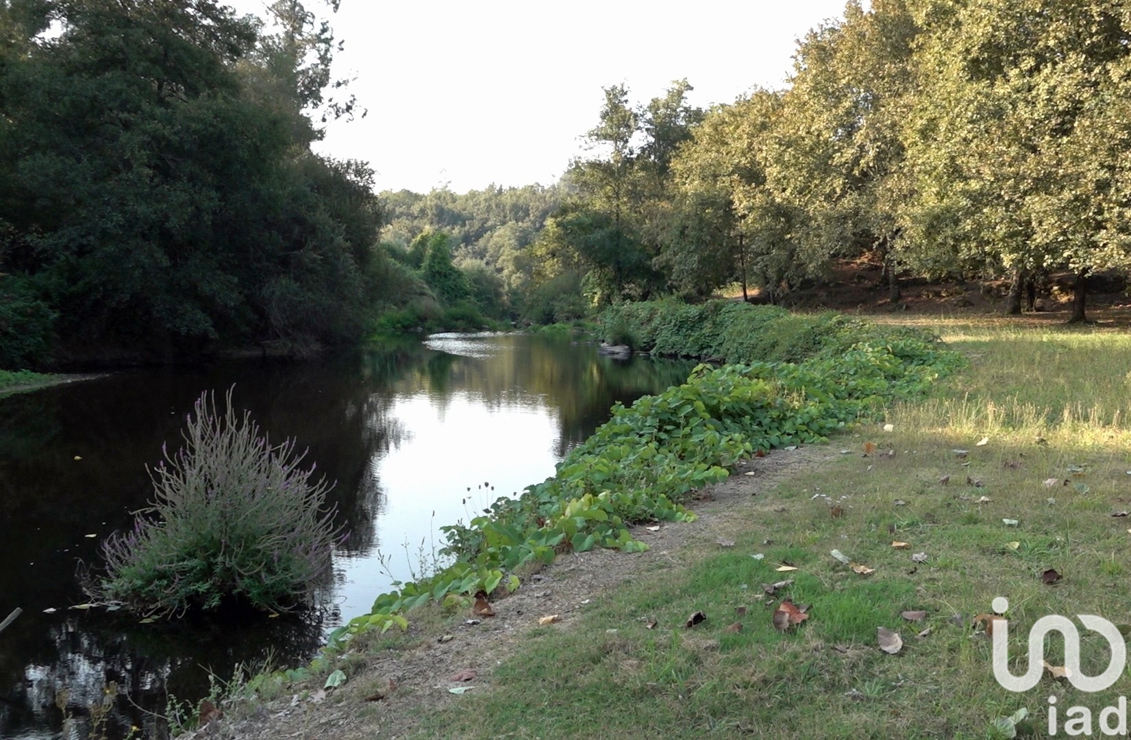 Moradia T6+ à venda em Parada de Gonta, Tondela — foto 17