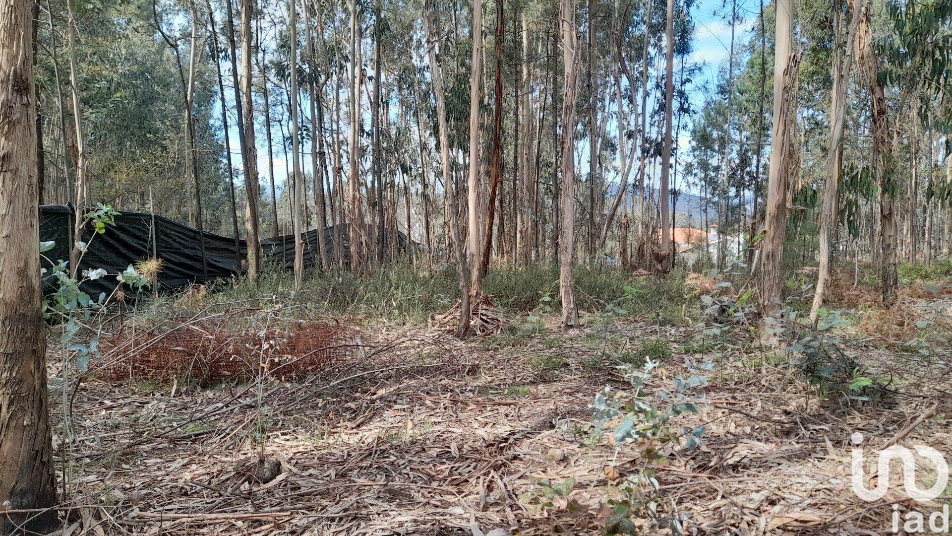 Moradia T3 à venda em Alheira e Igreja Nova, Barcelos — foto 26