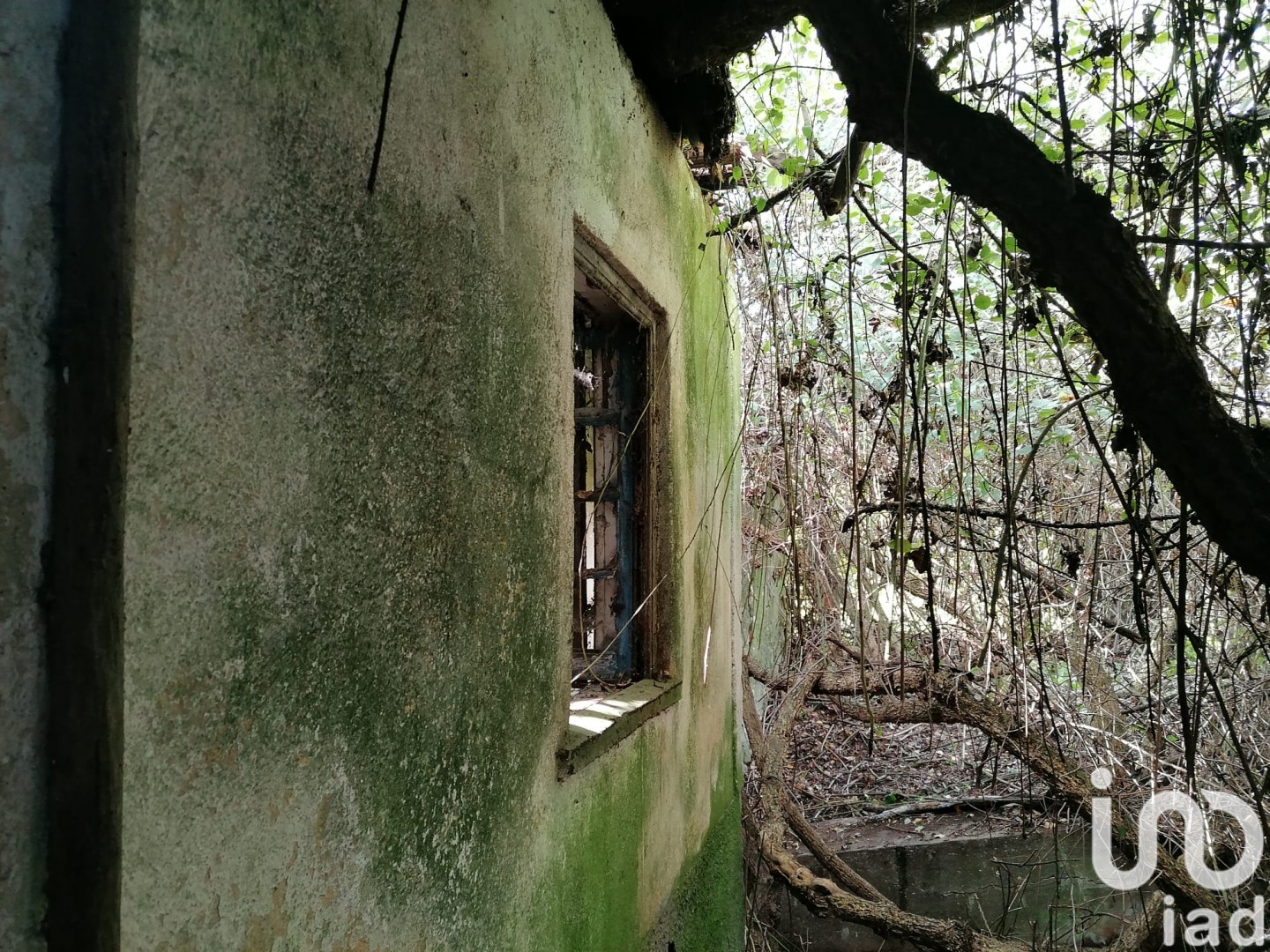Moradia T2 à venda em Caxarias, Ourém — foto 3