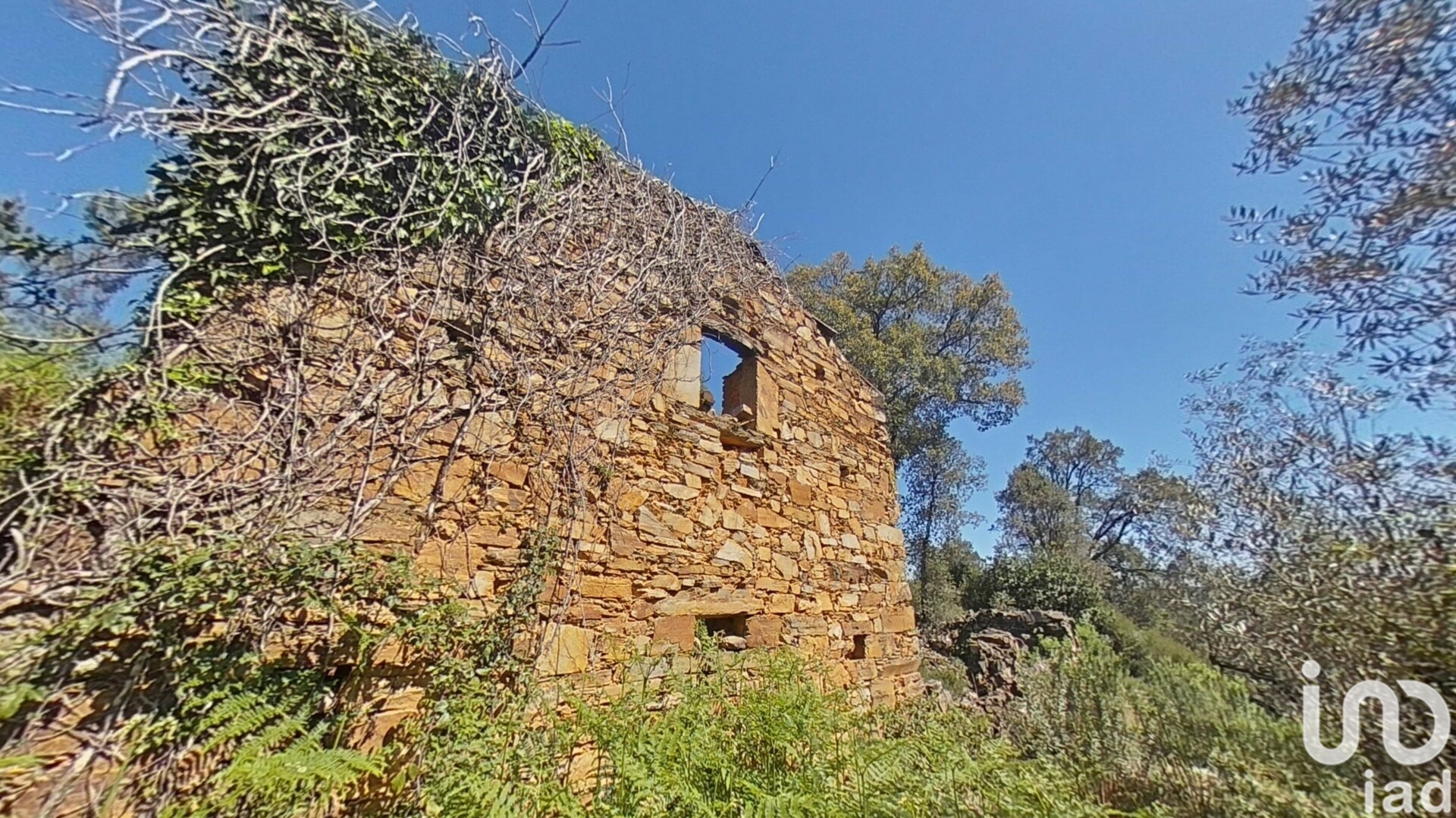Moradia T0 à venda em Alvares, Góis — foto 2
