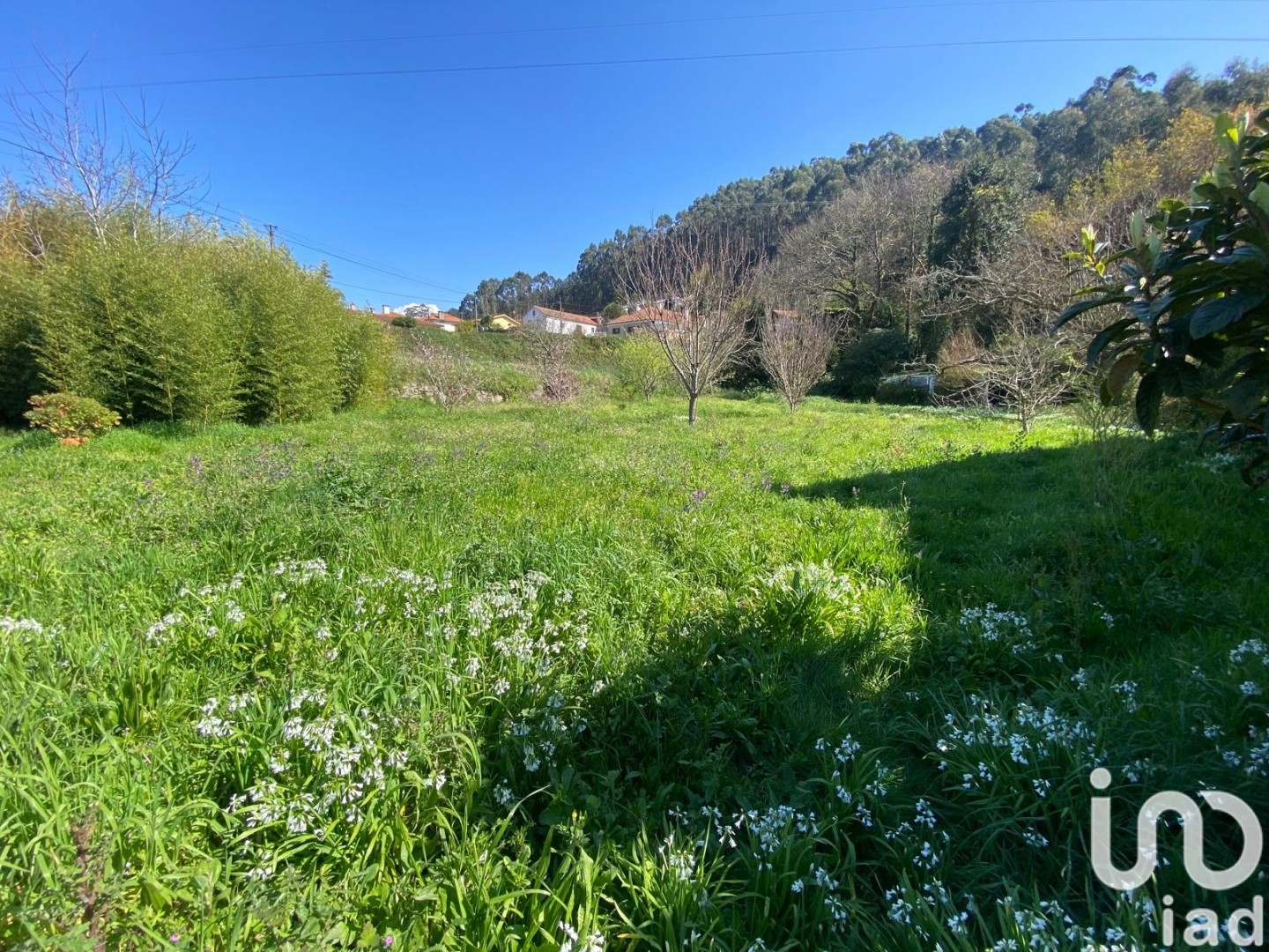 Moradia T5 à venda em Vila Nova de Cerveira e Lovelhe, Vila Nova de Cerveira — foto 9