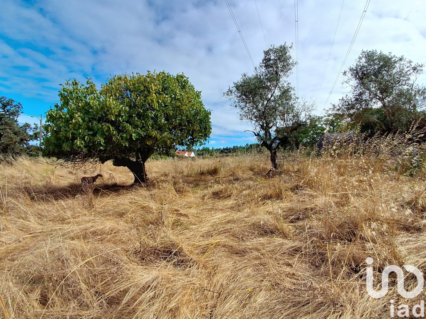 Moradia T2 à venda em Aljubarrota, Alcobaça — foto 13